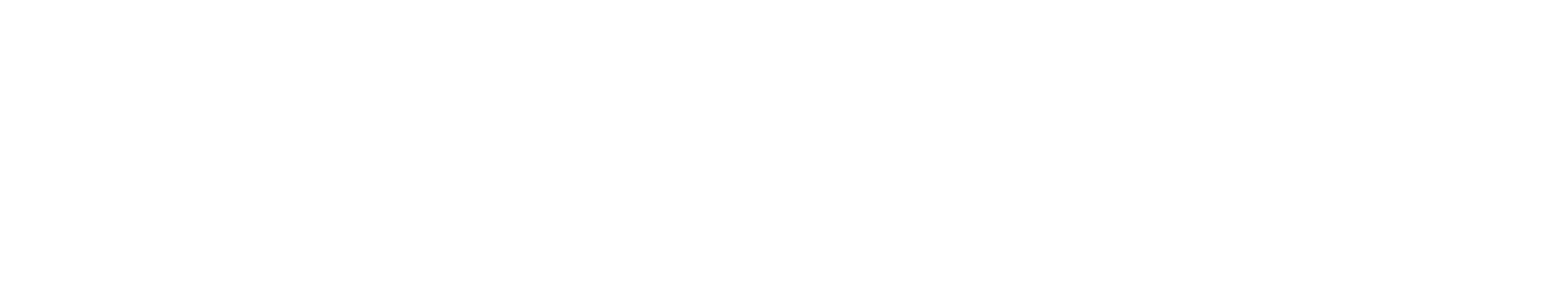 Voxvertex — AI for the Physical World